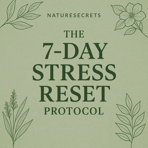 The 7-Day Stress Reset Protocol eBook